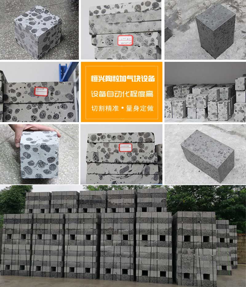 陶(táo)粒加氣混凝土砌(qì)塊 陶粒加氣混凝(níng)土砌塊
